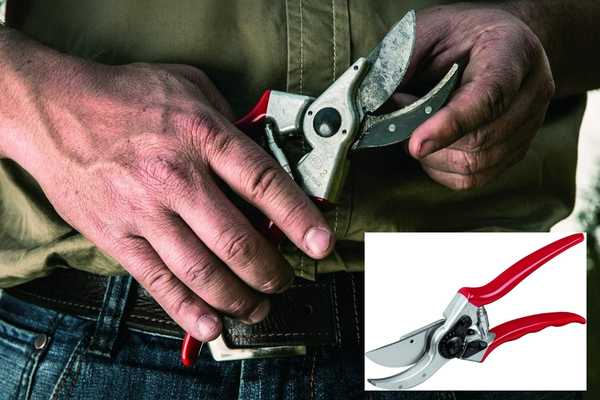 Felco F-2 Classic Manual Hand Pruner